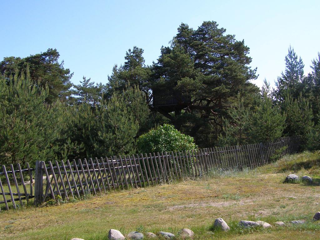 Villa Treimani Puhkemaja Habitación foto